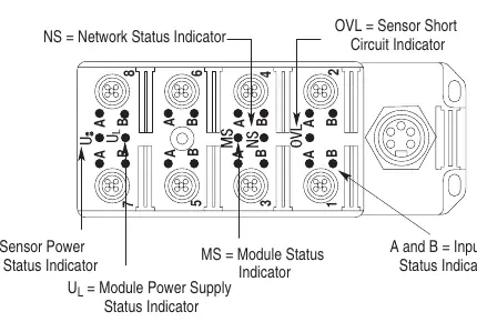 Indicator locations on the module