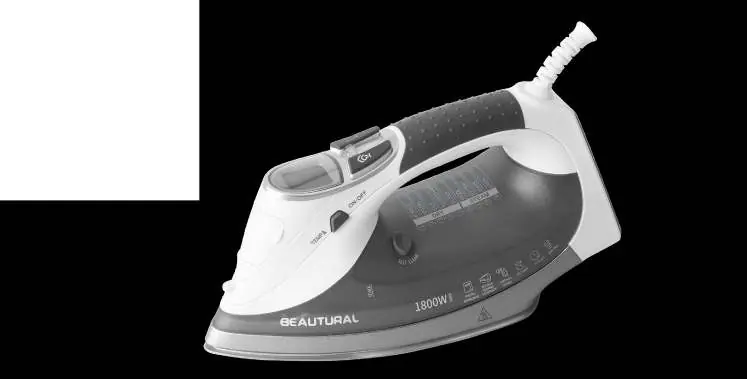 Diagram of the steam iron components