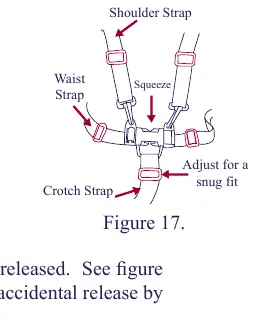 5-point harness adjustment