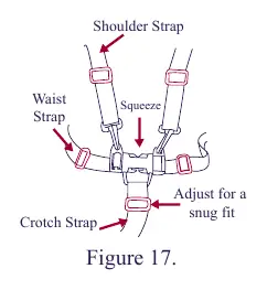 Harness adjustment and buckle