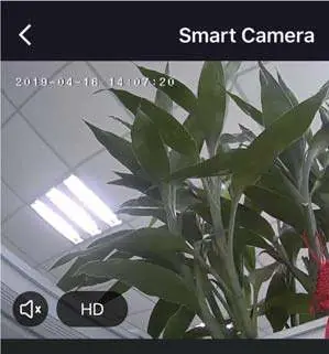 View live camera feed