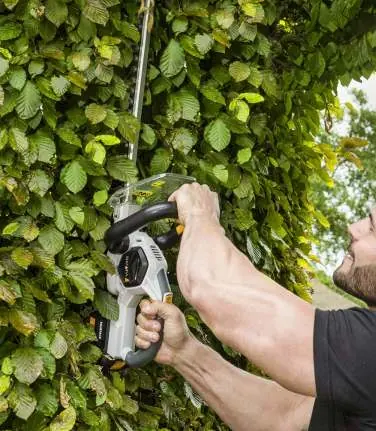 Using the hedge trimmer to shape a hedge.