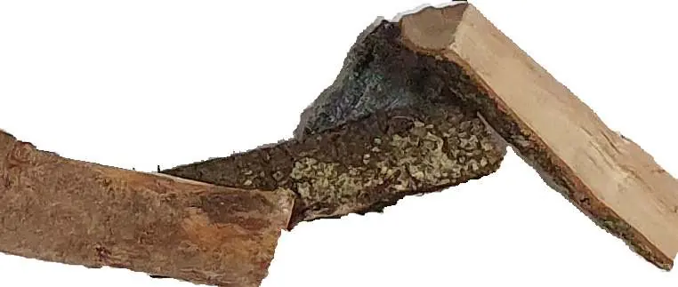 Log placement detail