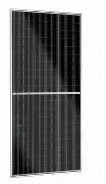 ECO-WORTHY 195W Bifacial Solar Panel