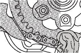 Drive chain inspection