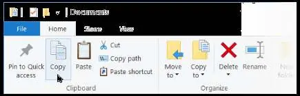 Using the Copy command in the Windows Home menu.