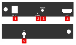 Receiver (RX) Layout