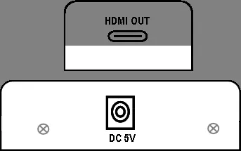 Rear panel ports of the device
