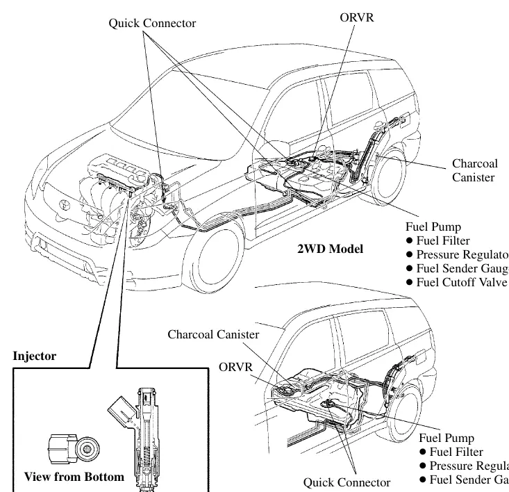 Fuel system diagram for 2WD and 4WD models.