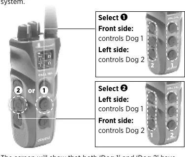2-Dog Set Up