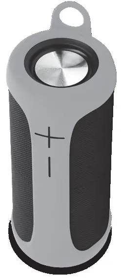 Anko Bluetooth speaker unit