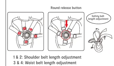 5-Point safety harness