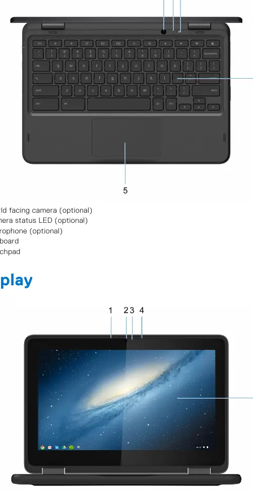 Top and Display components