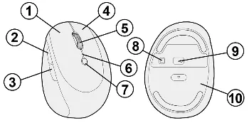 Mouse controls and components diagram