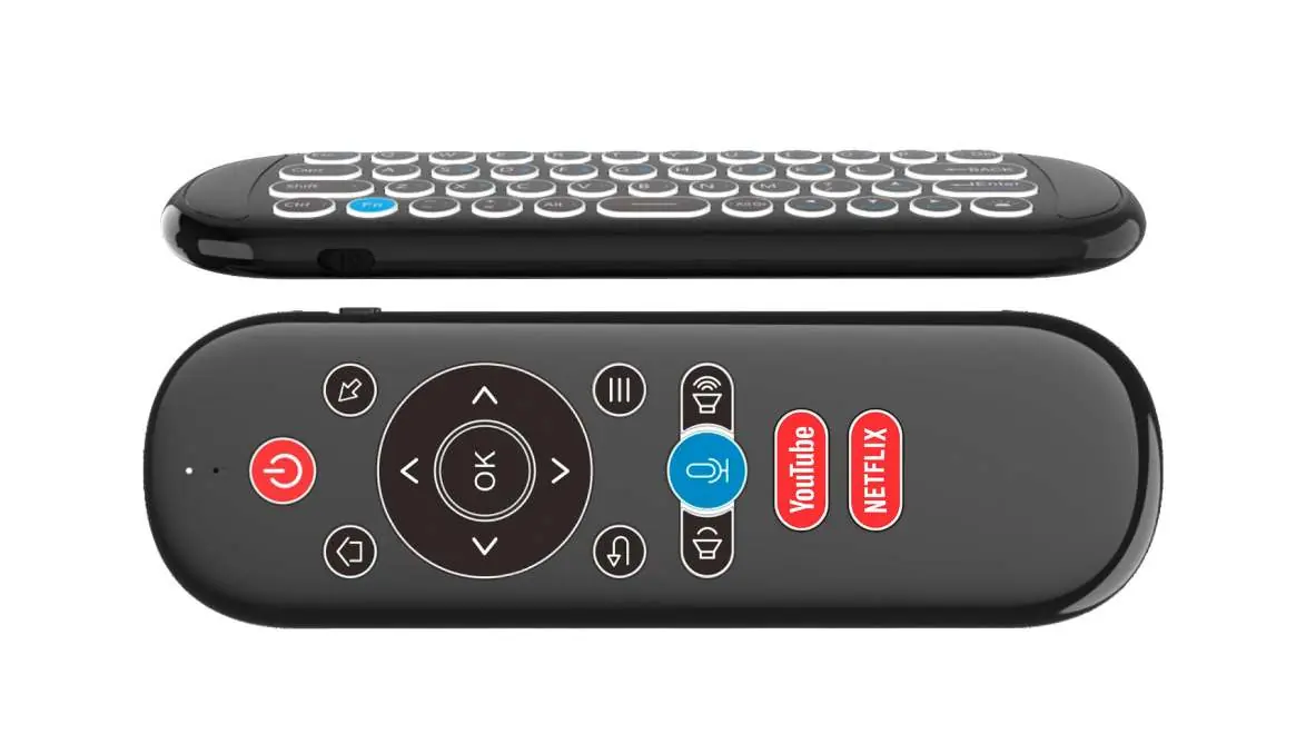 W1 Plus remote control front and side view