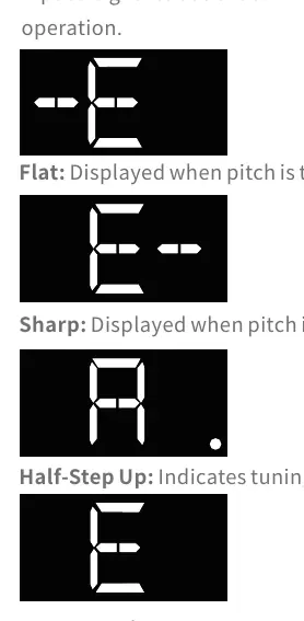 Tuner Display Indicators