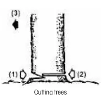 Cutting trees diagram