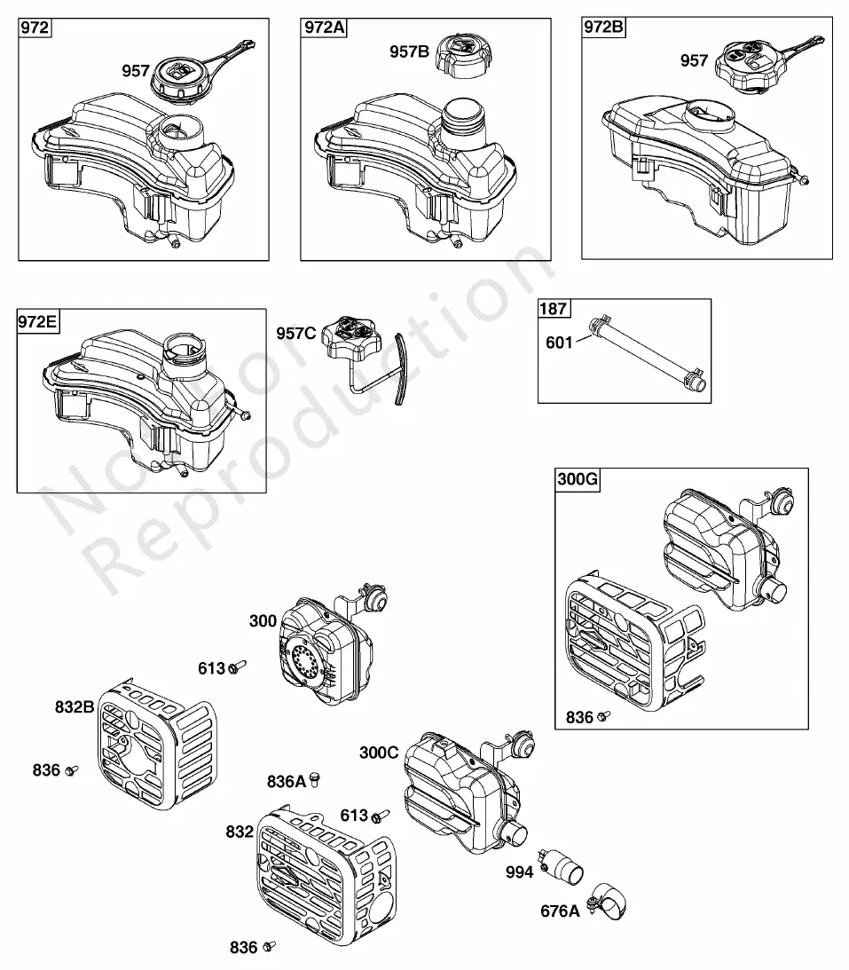 Exhaust System and Fuel Supply assembly diagram