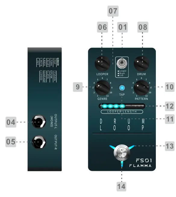 FS01 Pedal Layout and Controls