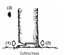 Cutting trees diagram