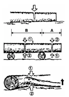 Log cutting diagram