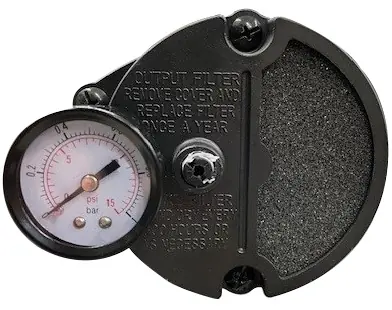 Fuel pressure adjustment screw and gauge