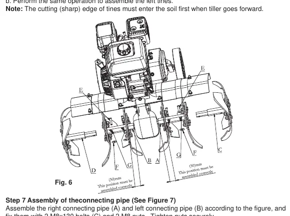 Assembly of the tines