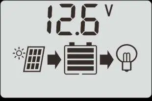 LCD display icon representation