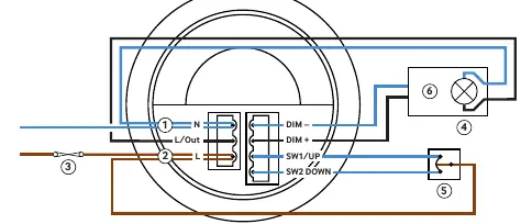 Single channel dimming wiring diagram