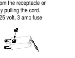 Fuse replacement procedure showing the fuse panel on the plug.