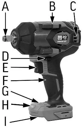 Identification Key