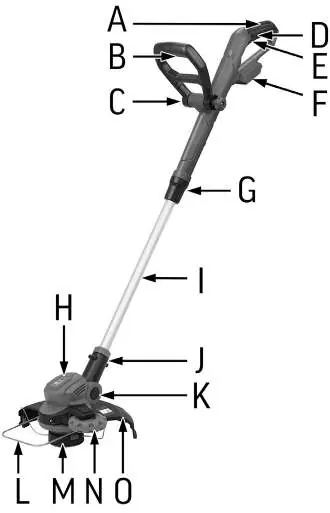 Identification Key