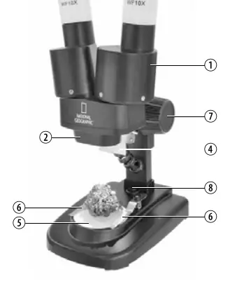 Microscope parts diagram