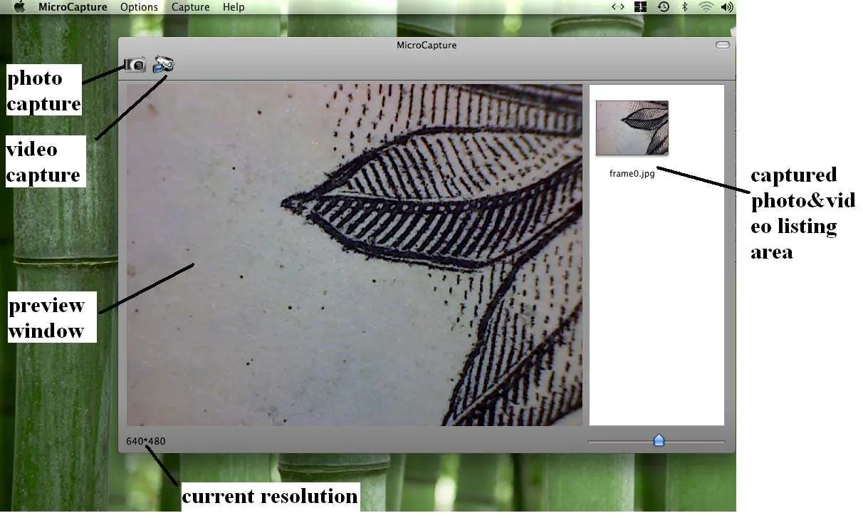 MicroCapture software interface