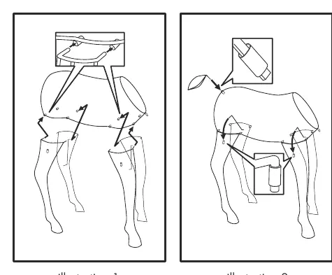 Illustration 1 and 2: Attaching legs and tail to the body.