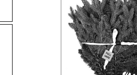 Branch strapping