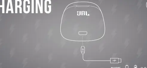 Charging the case