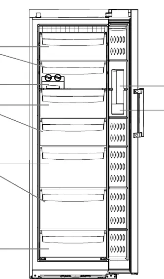 Freezer interior layout