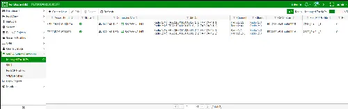 Web-based Manager interface
