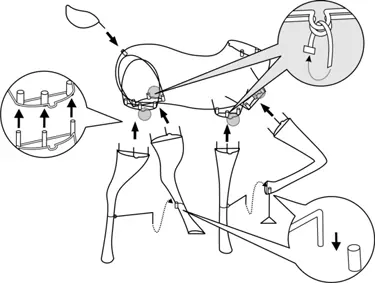 Deer assembly: Legs and Tail
