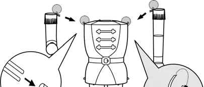 Assembling the Body