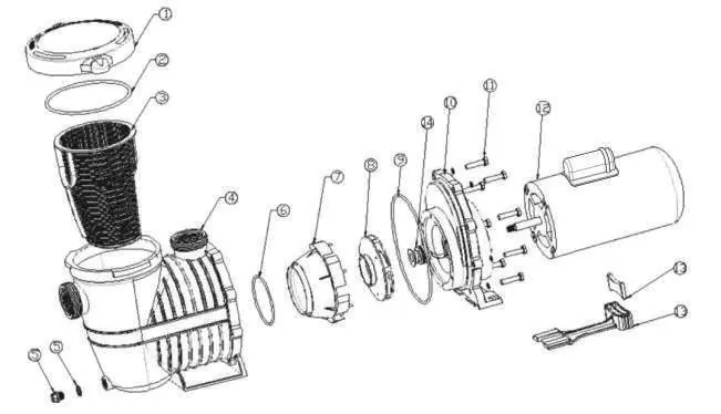 Exploded view of the pool pump main parts.