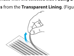 Removing adhesive strips from the transparent lining.