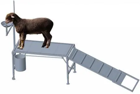Usage illustration