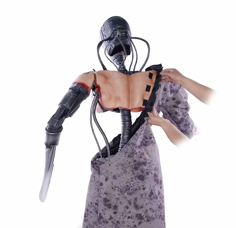 Torso and spine assembly