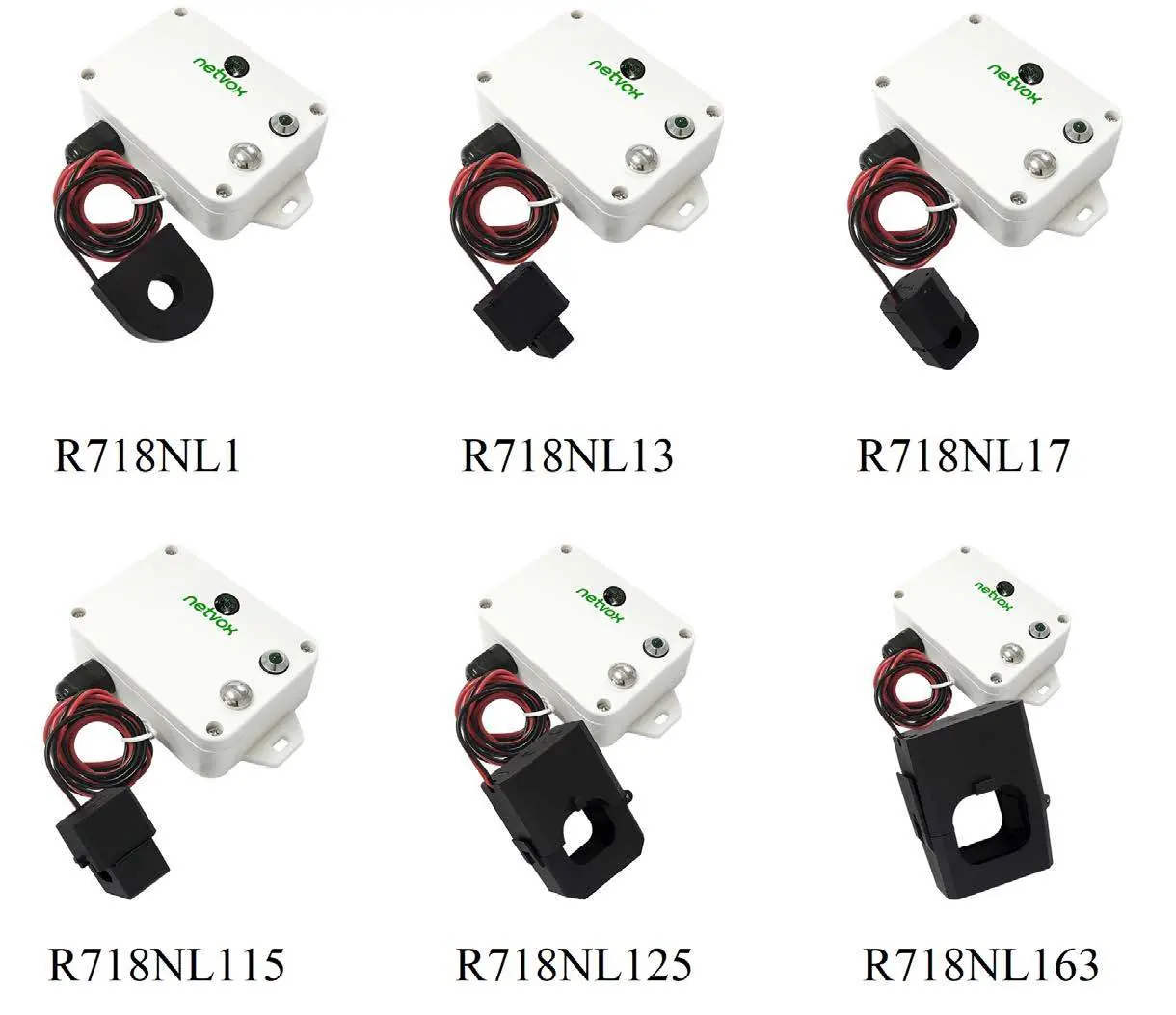 Netvox R718NL1 series models