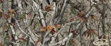 Observe the camouflage pattern design.