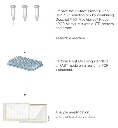 Workflow overview for the GoTaq Probe 1-Step RT-qPCR protocol.