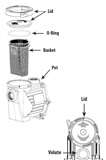 Strainer basket assembly components.