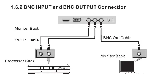 BNC connection diagram